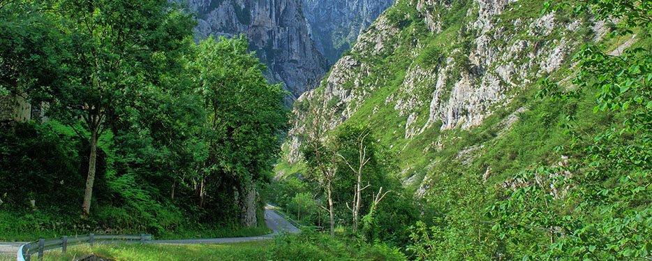 excursiones en autobús en grupo en Asturias