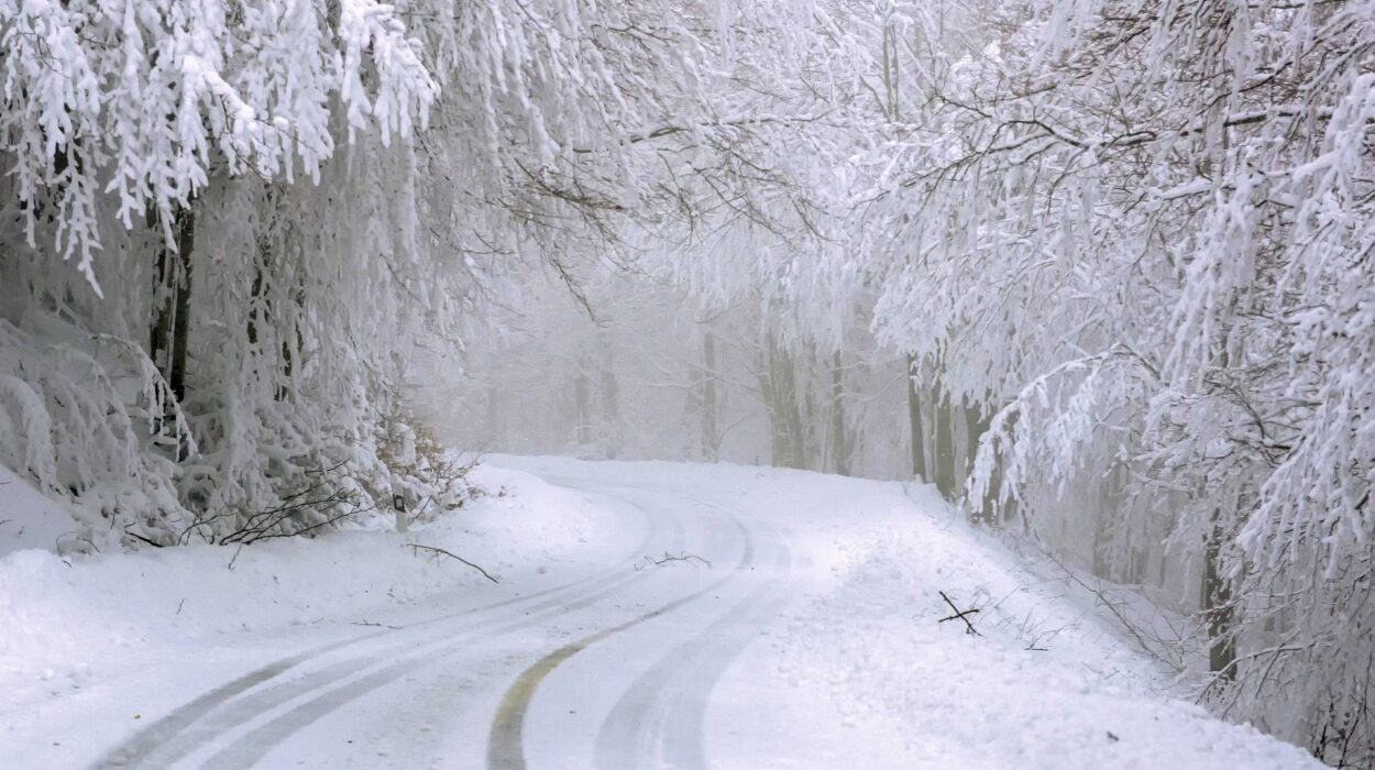 consejos para conducir en invierno
