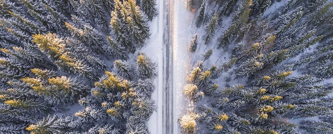 alquilar un autobús para ir a la nieve