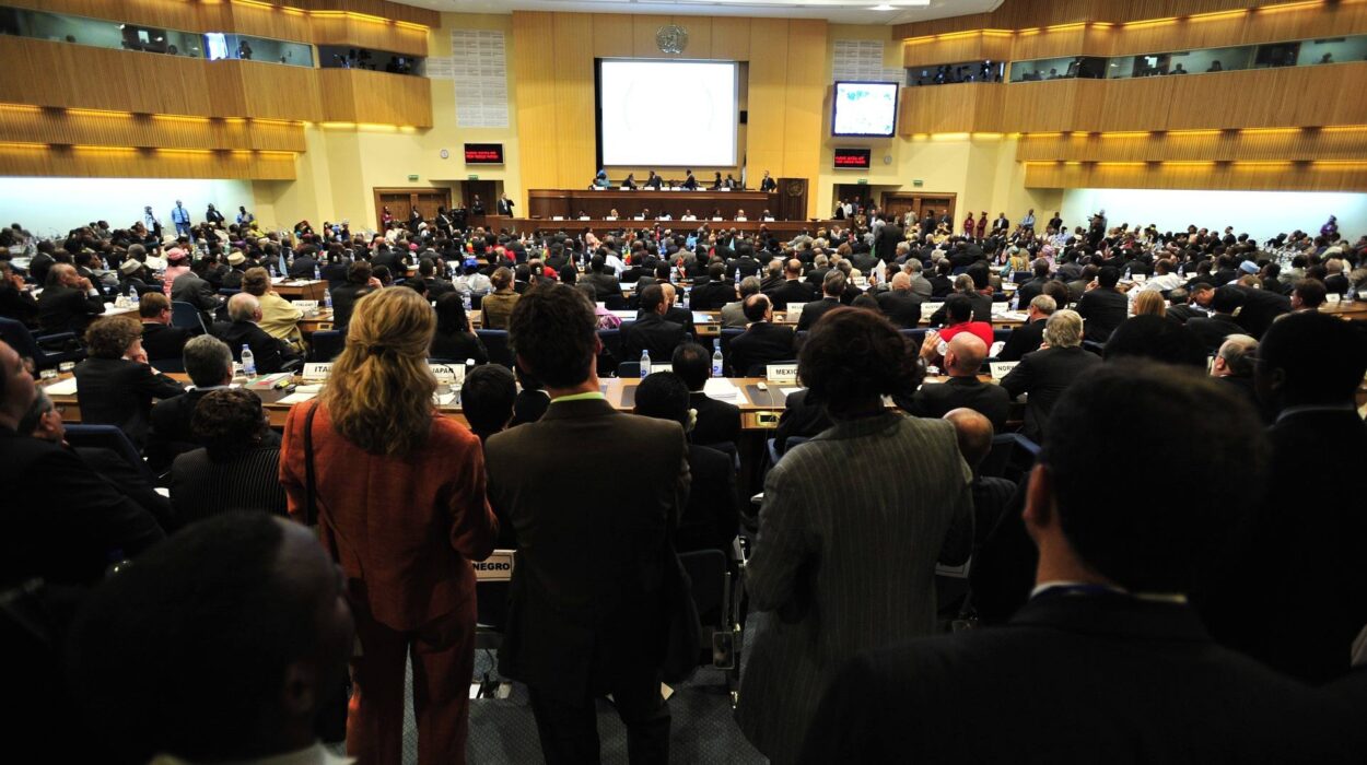 autobuses para congresos