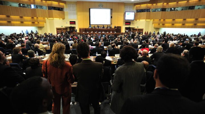 autobuses para congresos